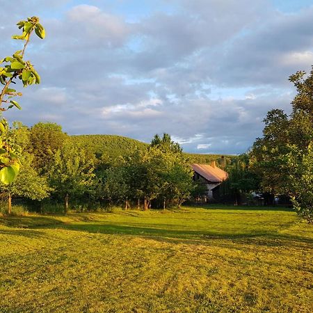 Tepke Guesthouse Garáb エクステリア 写真
